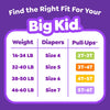 Pull-Ups Plus Training Pants for Girls, Size 2T-6T