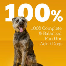 12-pack-Pedigree-Chopped-Ground6 - Brands For Less USA