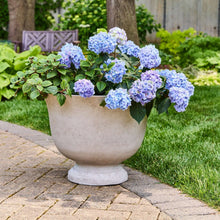 BHG-20-CARM-URN-PL_8b1de596-e6951 - Brands For Less USA