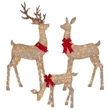 Member-s-Mark-Pre-Lit-Animated-Deer-Family-Set-of-3-5-_2 - Brands For Less USA