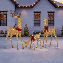 Member-sMarkPre-LitAnimatedDeerFamily-Setof36-_1 - Brands For Less USA